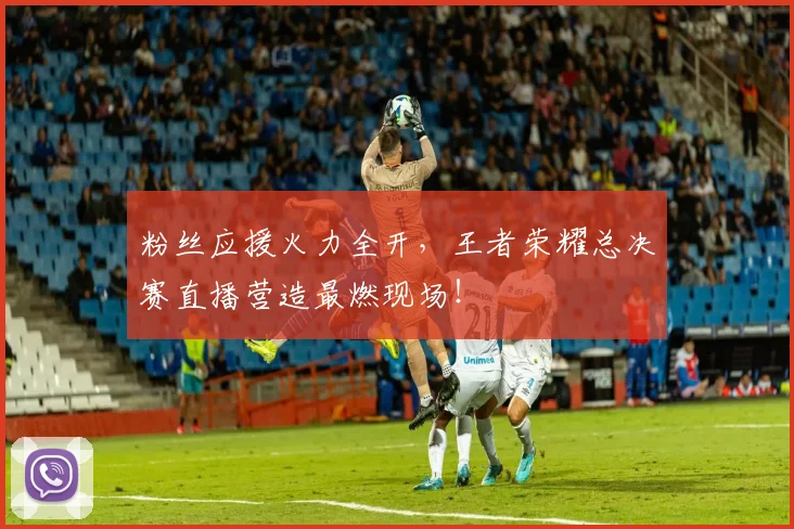 粉丝应援火力全开,王者荣耀总决赛直播营造最燃现场!